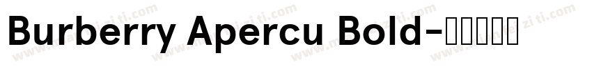 Burberry Apercu Bold字体转换